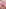 Lubed 21 XXX (2025) [18+]